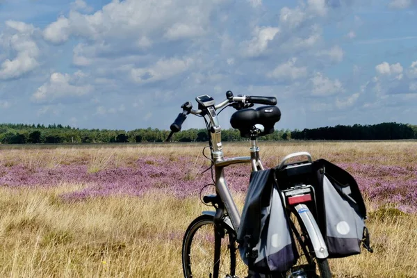 Fahrrad Ein Zweirad — Stockfoto