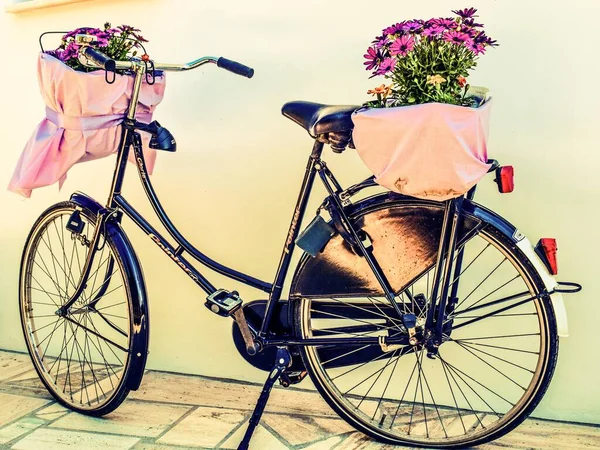 Bicicleta Vehículo Dos Ruedas — Foto de Stock