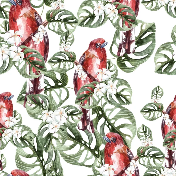 Prachtige aquarel naadloze, tropische jungle bloemmotief achtergrond met palmbladeren, bloem plumeria, rode vogel. — Stockfoto