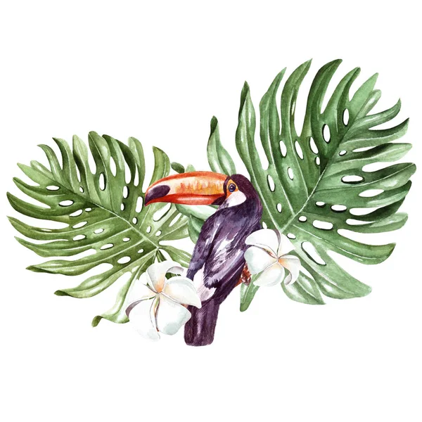 Un bel mazzo di acquerello con un tukan e foglie di una palma, fiori o plumeria . — Foto Stock