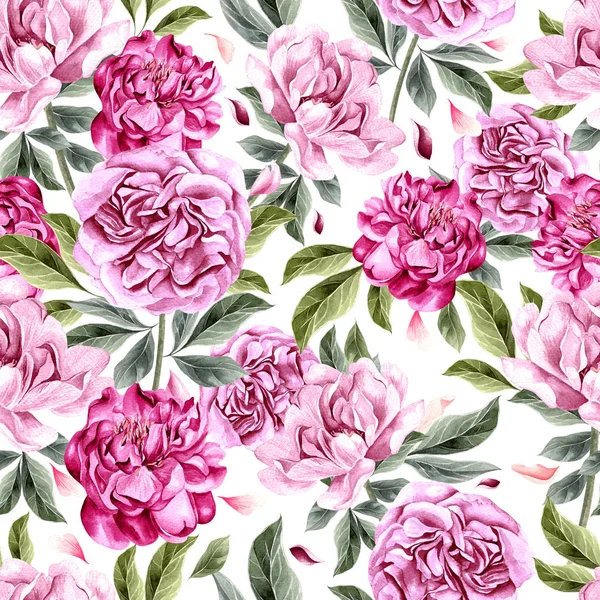 Motif aquarelle avec des fleurs de pivoine . — Photo