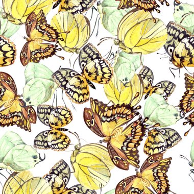 Sulu Boya desen güzel kelebekler ile. İllüstrasyon