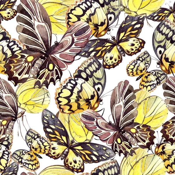 Warna air pola dengan kupu-kupu yang indah. Ilustrasi — Stok Gambar Warna air pola dengan kupu-kupu yang indah. Ilustrasi Stok Lukisan