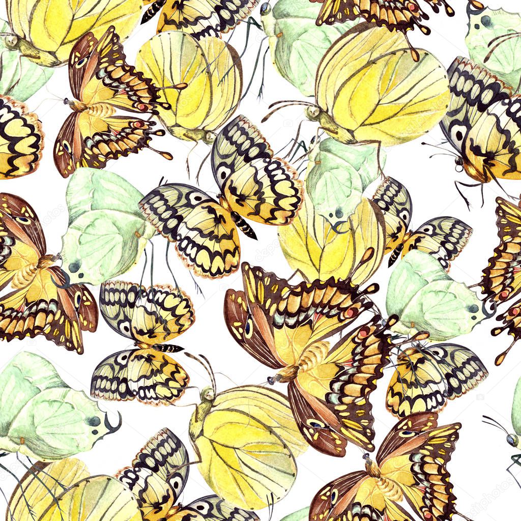Watercolor pattern with beautiful butterflies. Illustration