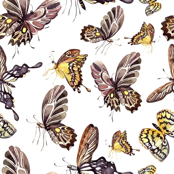 Ακουαρέλα μοτίβο με όμορφες πεταλούδες. Εικονογράφηση — Φωτογραφία Αρχείου