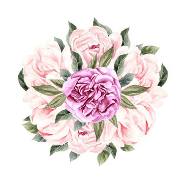 Şakayık suluboya buket. 