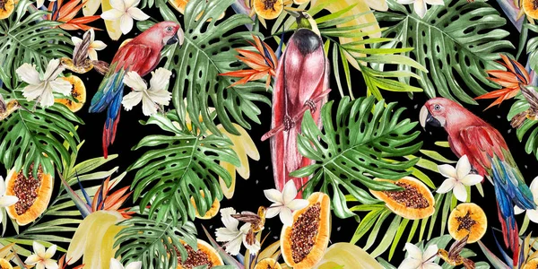 Wunderschönes tropisches Aquarell mit Papageien und Blüten von Hibiskus und Strelitzien. tropische Früchte Papaya und Bananen. — Stockfoto