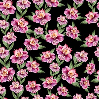 Alstroemeria, çiçekli güzel suluboya seamless modeli.