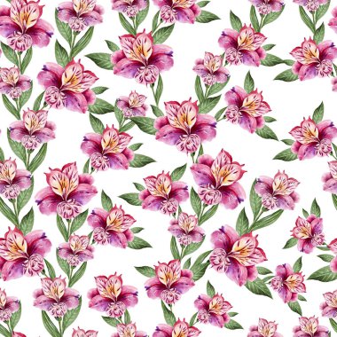 Alstroemeria, çiçekli güzel suluboya seamless modeli.