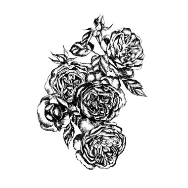 Çiçekli güzel grafik buket gül  