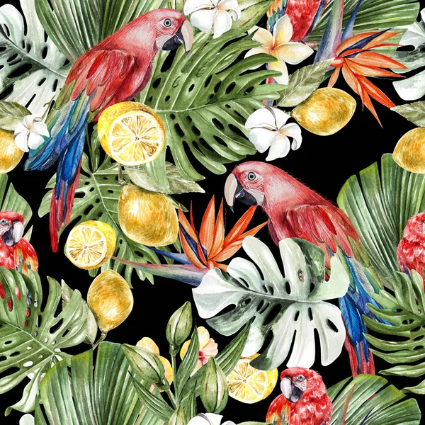 Gyönyörű akvarell trópusi minta levelek, virágok, gyümölcsök és papagájok. — Stock Fotó