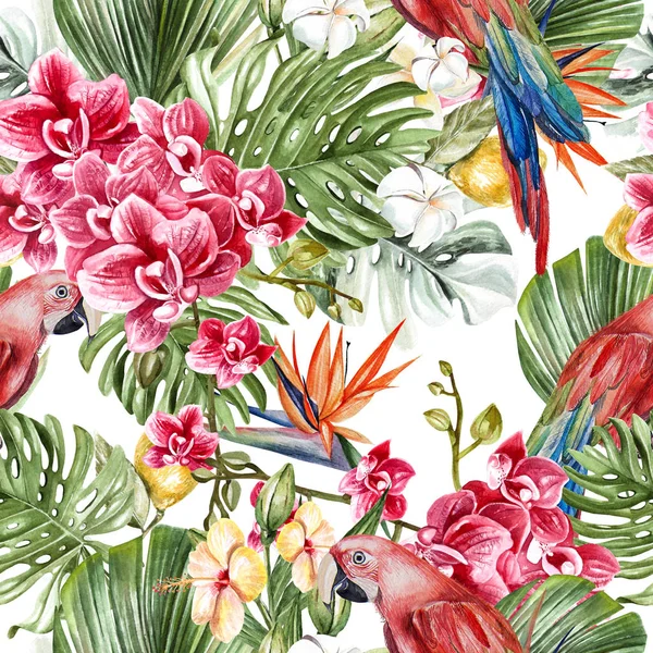 Magnifique aquarelle motif tropical avec feuilles, fleurs, fruits et perroquets . — Photo