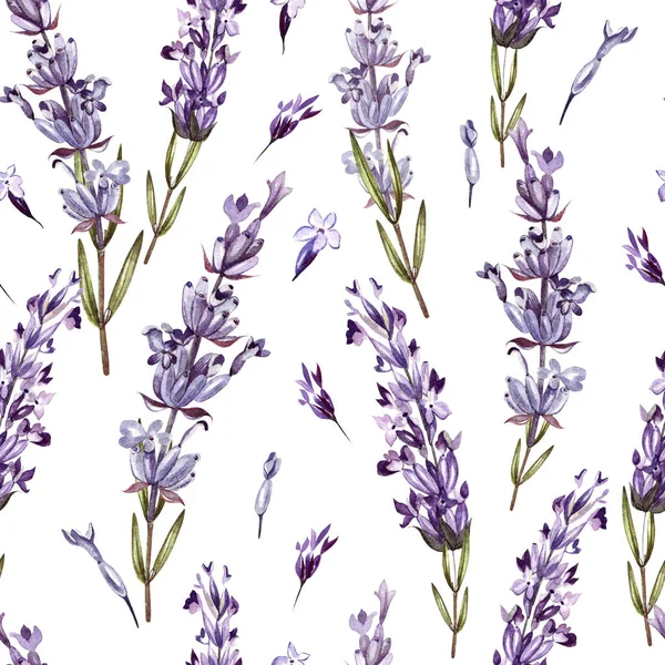 Aquarellmuster mit Lavendel. Handbemalung. Aquarell. — Stockfoto
