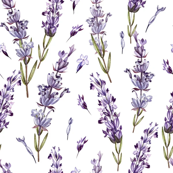 Padrão de aquarela com lavanda. Pintura à mão. Aquarela . — Fotografia de Stock