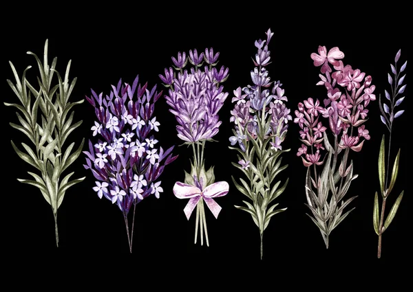 Set von Aquarell Bouquet Lavendelblüten auf weißem Hintergrund. — Stockfoto