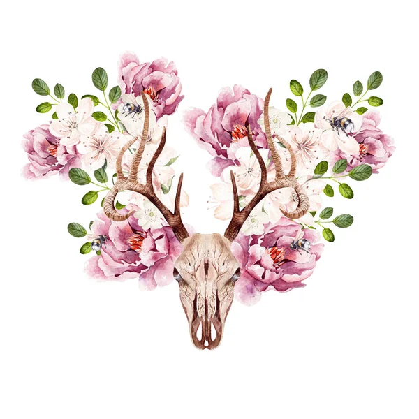 Belo crânio de veado aquarela com flores de peônia . — Fotografia de Stock