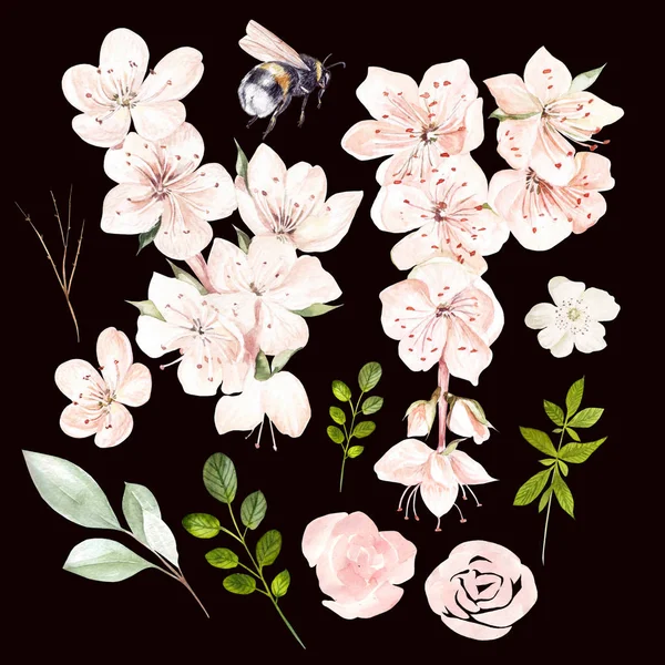 美しい水彩画で、春の花と葉を設定. — ストック写真