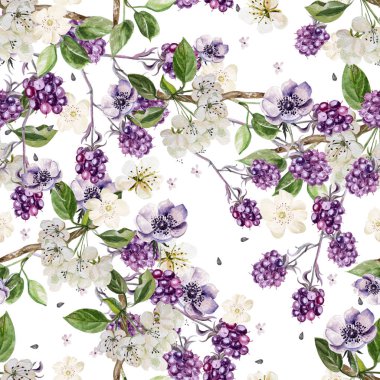 Blackberry ve çiçekler anemone desenle güzel suluboya bahar . 