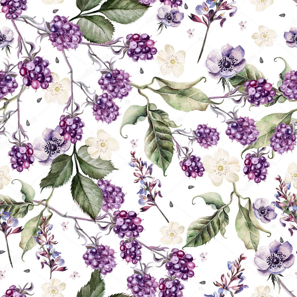 Beautiful watercolor spring pattern with blackberry and flowers anemone, lavender. 