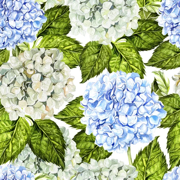 Jasně barvený barevný model s květinami a listy hudrangea. — Stock fotografie