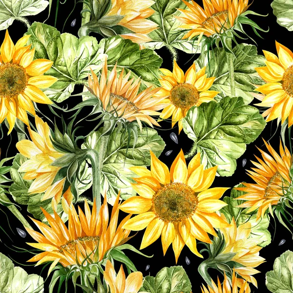 Beautiful watercolor seamless pattern with sunflower and leaves. — Stock Photo, Image