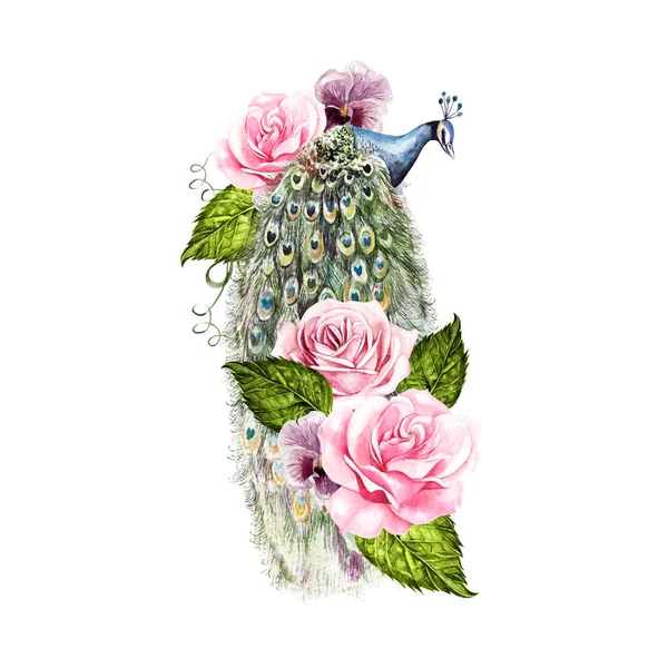 Schöner aquarellierter Pfau mit Rosen- und Veilchenblüten — Stockfoto