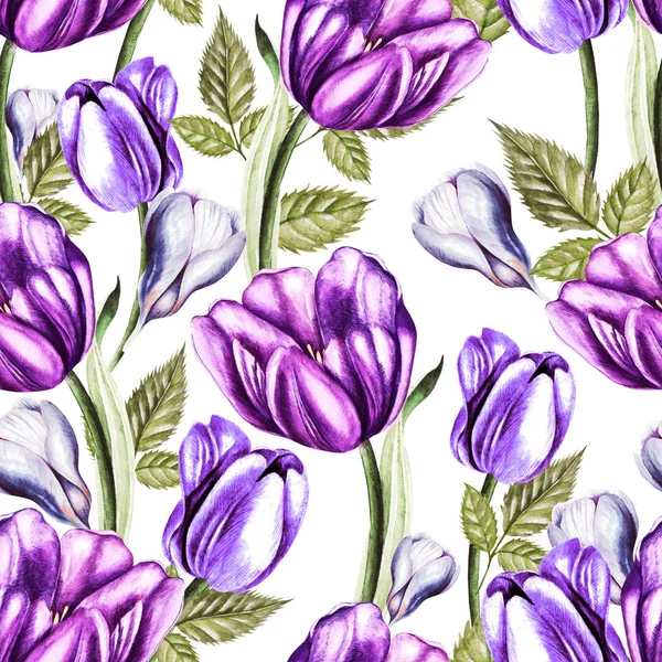Beautiful watercolor seamless pattern with tulips and crocus flowers. — Stock Photo, Image