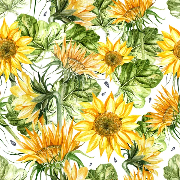 Beautiful watercolor seamless pattern with sunflower and leaves. — Stock Photo, Image