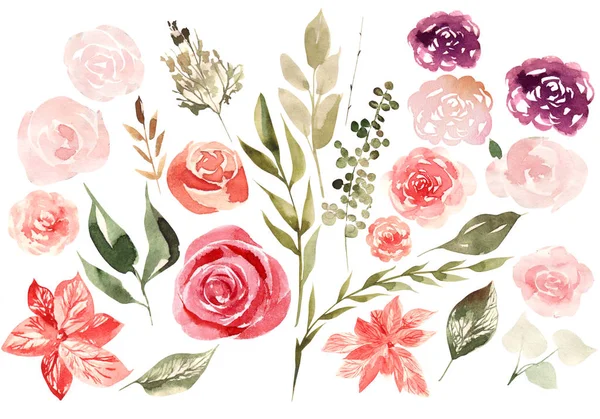 모란 꽃, 장미와 난초 꽃 아름 다운 수채화 웨딩 카드. — 스톡 사진