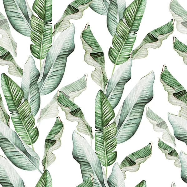 Beautiful watercolor seamless pattern with tropical leaves and banana leaves. — Stock Photo, Image