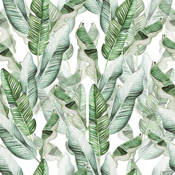 Beautiful watercolor seamless pattern with tropical leaves and banana leaves. — Stock Photo, Image