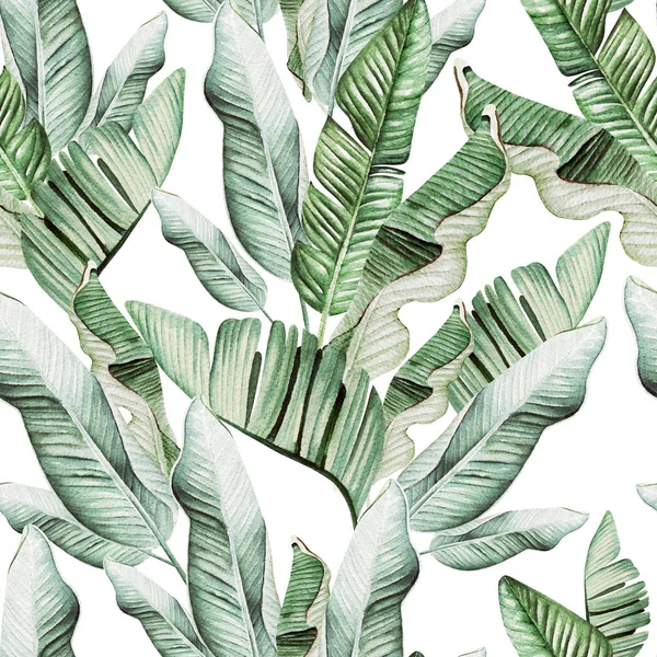 Beautiful watercolor seamless pattern with tropical leaves and banana leaves. — Stock Photo, Image