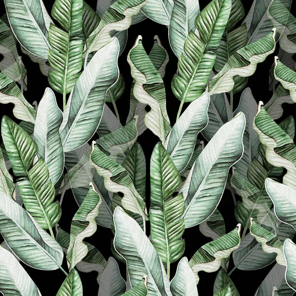 Beautiful watercolor seamless pattern with tropical leaves and banana leaves. 