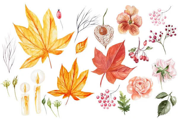 Acquerello autunno Set con foglie, fiori e rose . — Foto Stock
