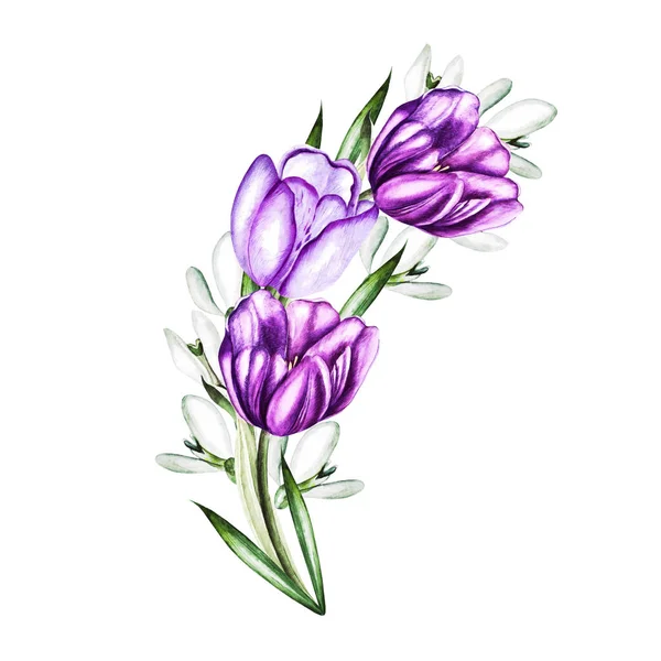 Akvarell csokor Tulipánokkal és bazsarózsa. — Stock Fotó