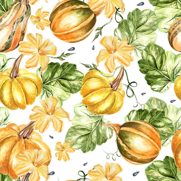 Bright watercolor seamless pattern with pumpkin vegetables and flowers. — Stock Photo, Image