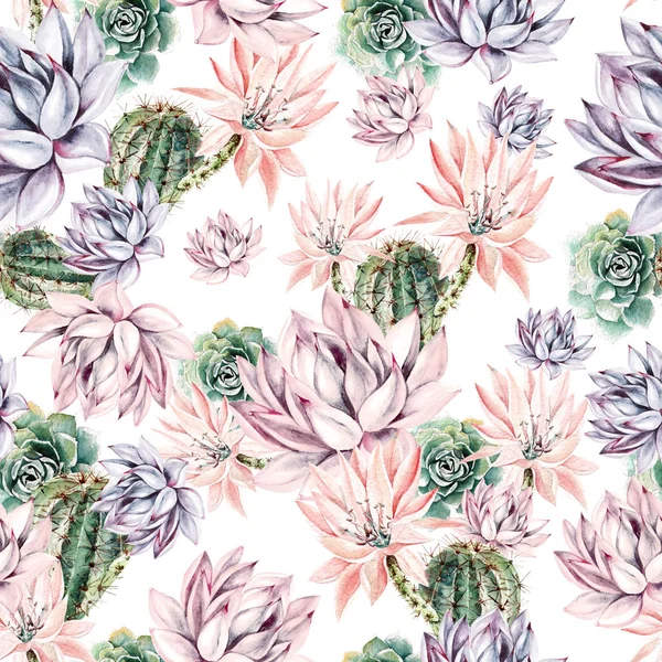 水彩画咲くサボテンの背景。花とエキゾチックなサボテン、シームレスなパターン。多肉植物とサボテンガーデンパターン. — ストック写真