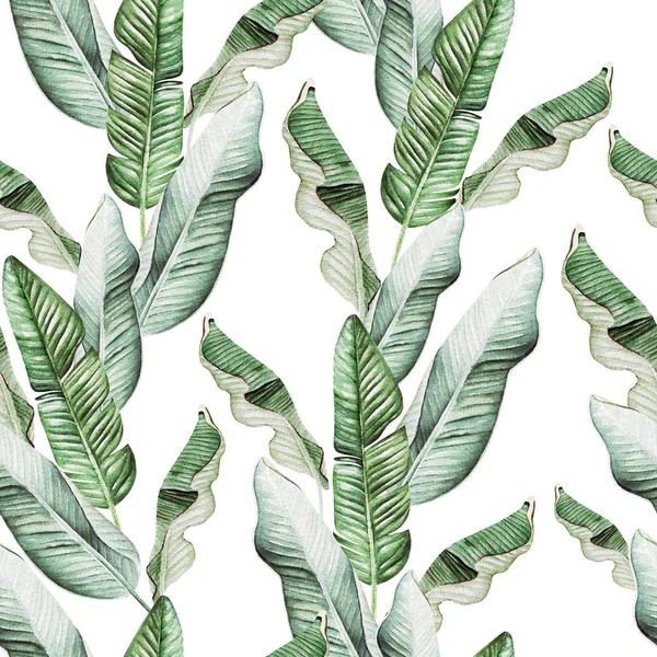 Beautiful watercolor seamless pattern with tropical leaves and banana leaves. — Stock Photo, Image