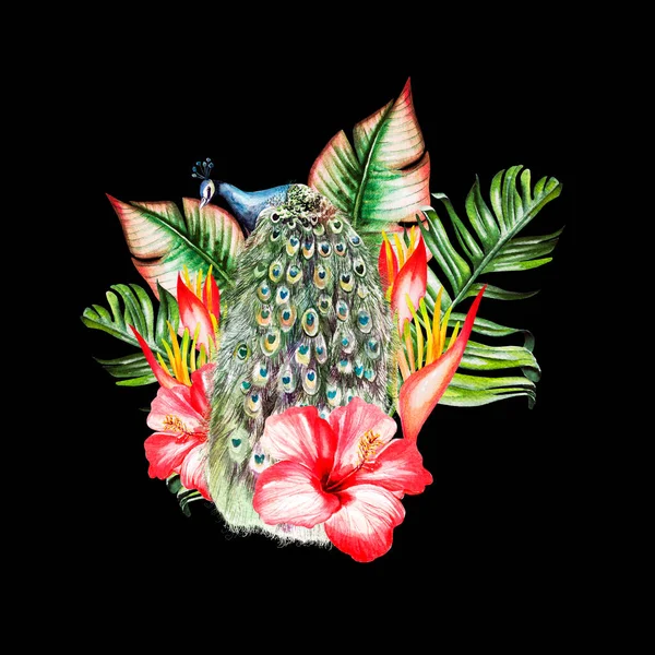 ハイビスカスの花やクジャクの鳥と水色の熱帯組成物、モンステラの葉. — ストック写真