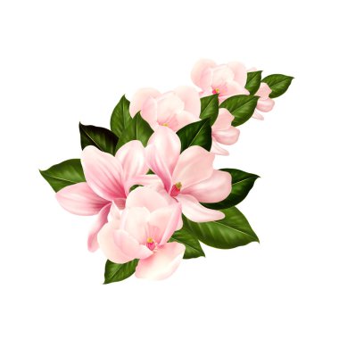 Manolya çiçekli güzel bir düğün buketi. 