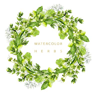 Watercolor wreath with herbs and microgreen.  clipart