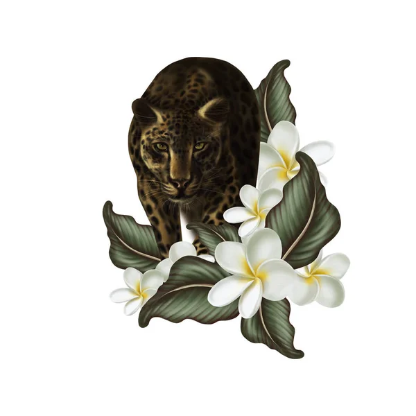 Belo cartão digital com folhas tropicais, flores de plumeria e leopardo animal . — Fotografia de Stock