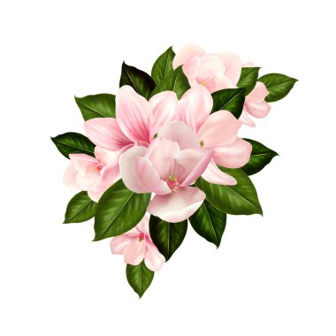 Manolya çiçekli güzel bir düğün buketi. 