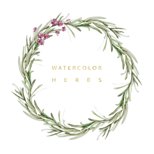 Watercolor wreath with herbs rosemary. — Stock Photo, Image