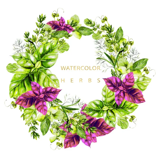 Watercolor wreath with herbs and microgreen. — Stock Photo, Image