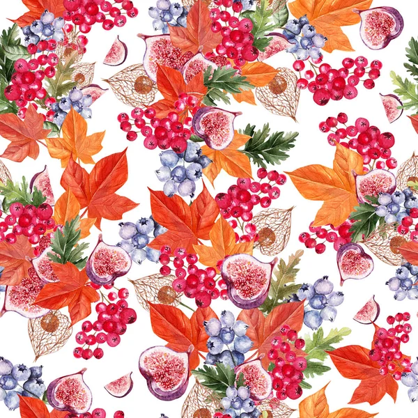 Gyönyörű őszi akvarell minta levelekkel, áfonyával, rezgő bogyókkal, fizálokkal és fügékkel. — Stock Fotó