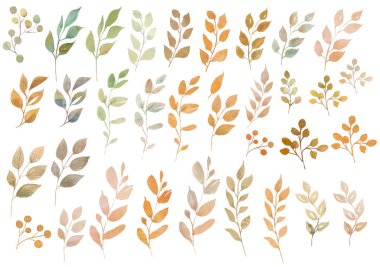 Suluboya sonbahar elementleri farklı yapraklar. 