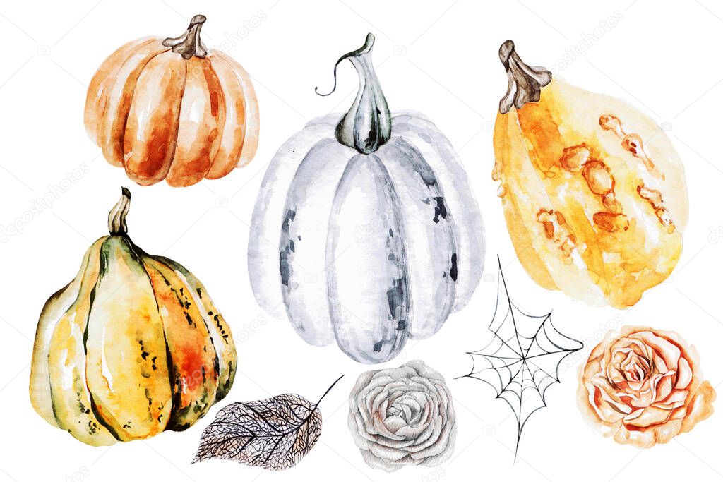 Watercolor autumn Set with pumpkins, roses flowers and leave. 