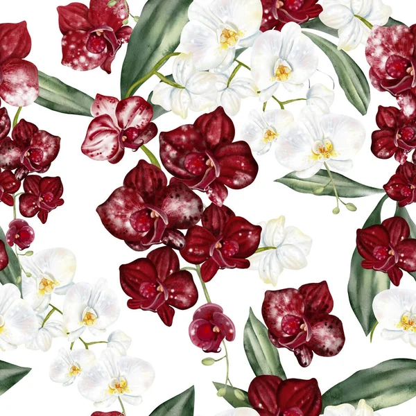 Kırmızı, bordo renkli orkide çiçekleri olan güzel, pürüzsüz bir desen..