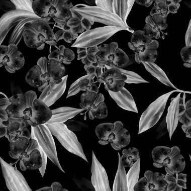 Orkide çiçekleri ile ters çevirmede kusursuz bir desen. Görüntü.